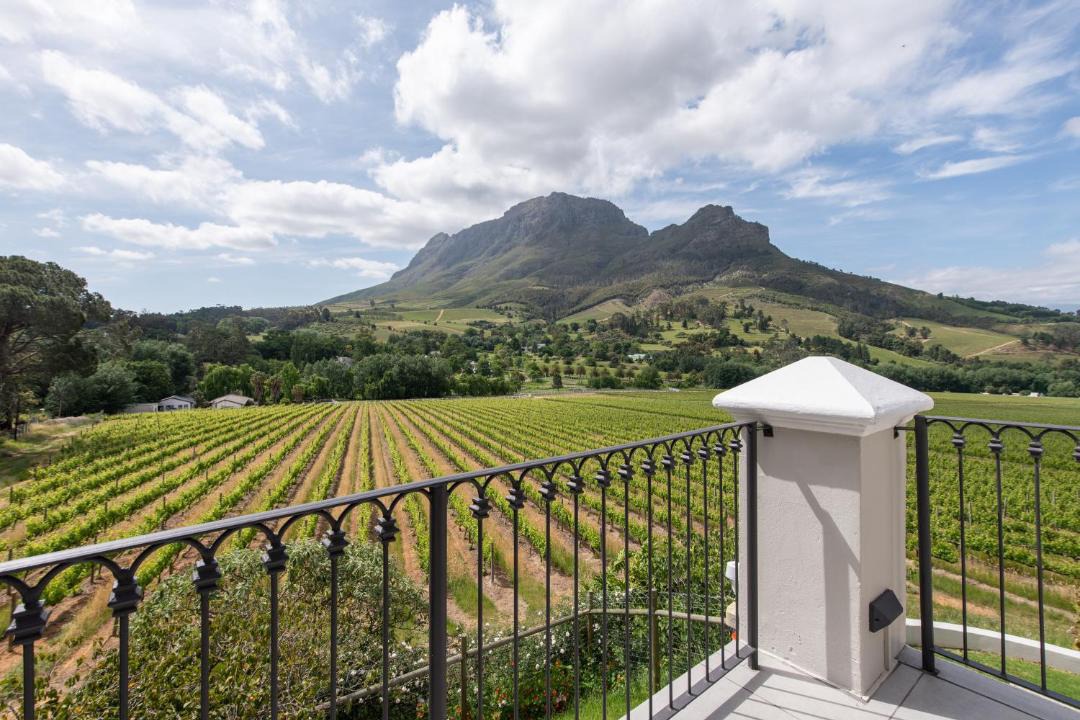 Photo of Others in Cape Winelands