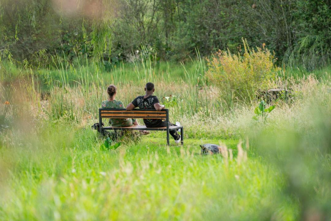 Photo of Others in Midlands Meander