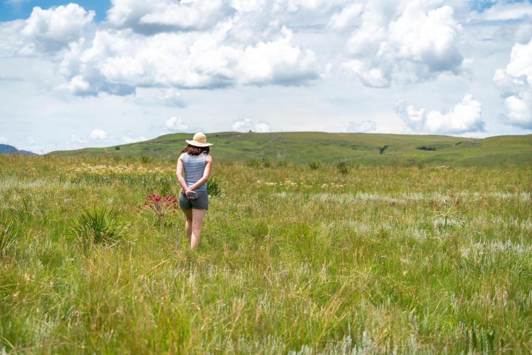 Photo of Others in Midlands Meander