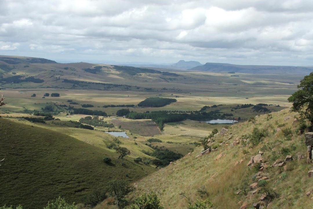 Photo of Others in Emadlangeni
