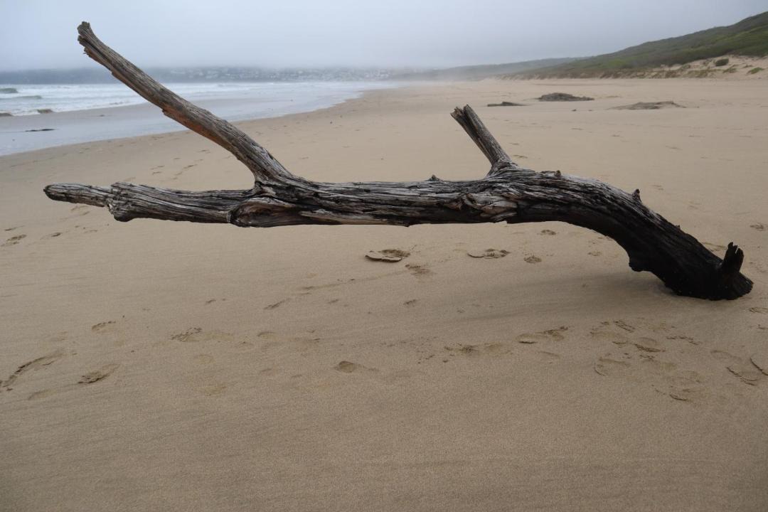 Photo of Others in Vleesbaai