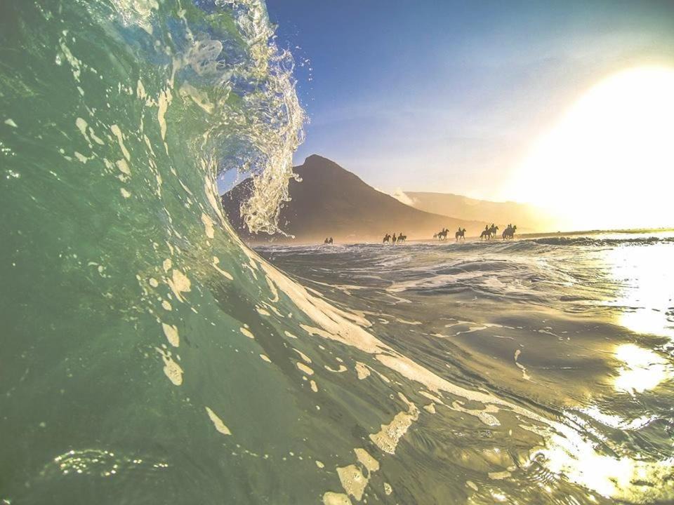 Photo of Others in Noordhoek