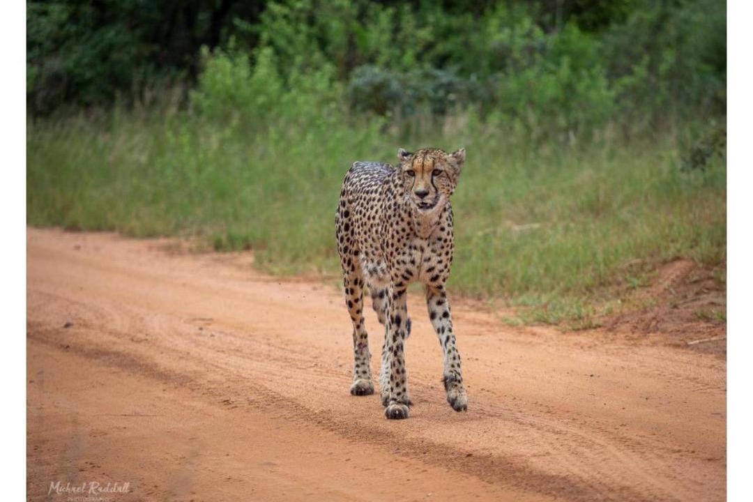 Photo of Others in Vaalwater