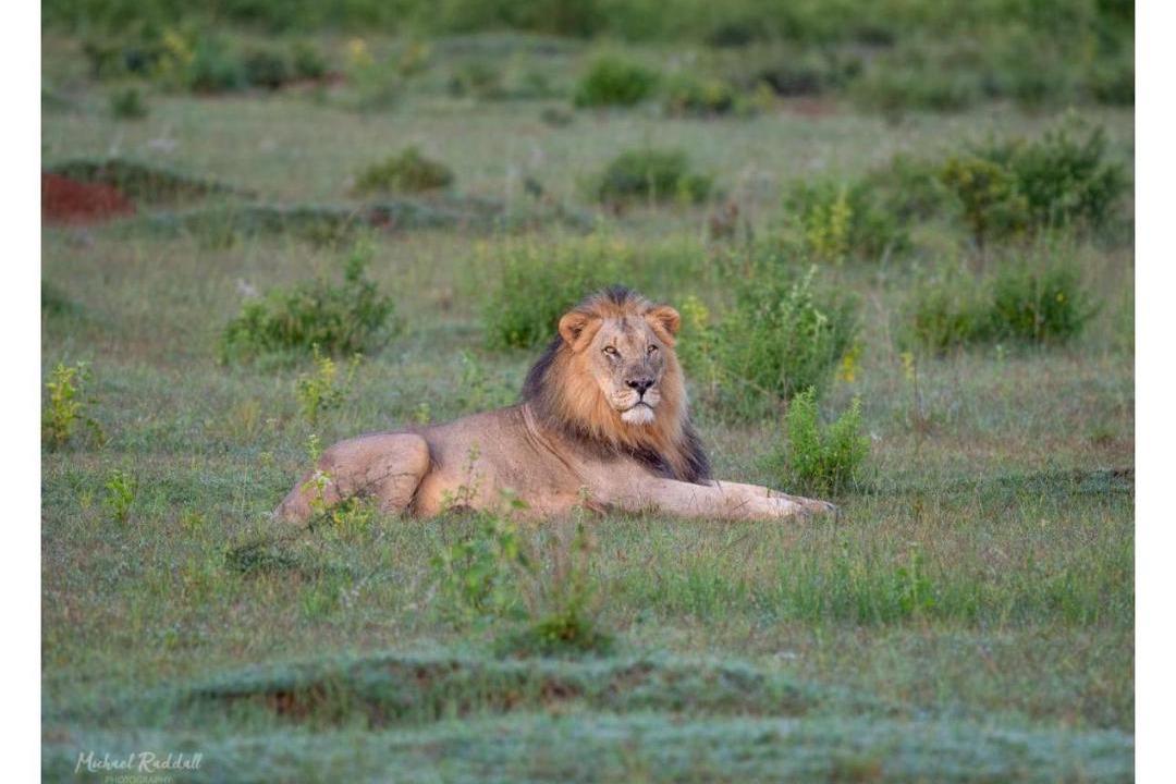 Photo of Others in Vaalwater