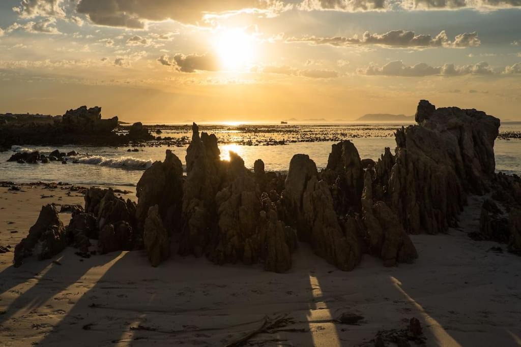 Photo of Others in Pringle Bay