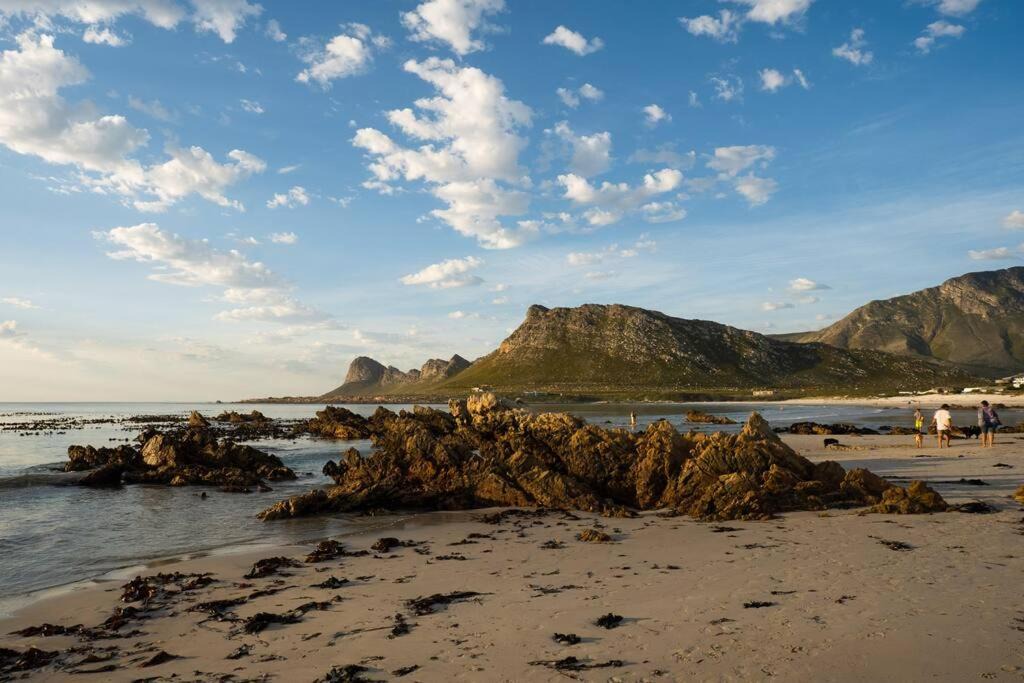 Photo of Others in Pringle Bay