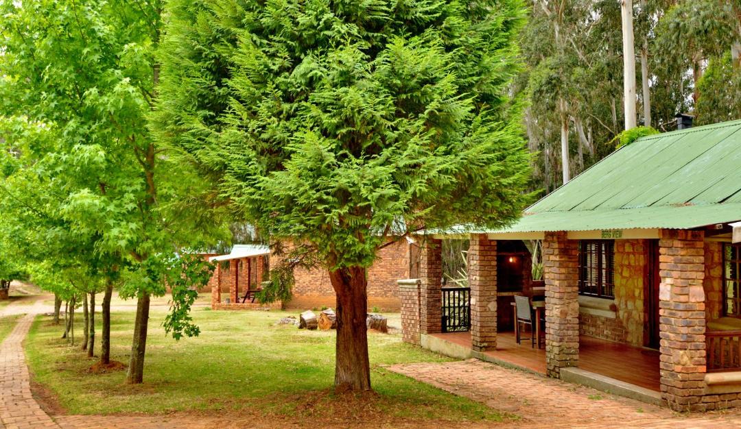 Photo of Others in Dullstroom