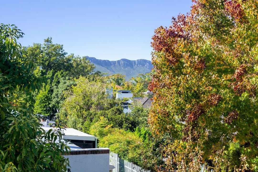 Photo of Others in Stellenbosch Central