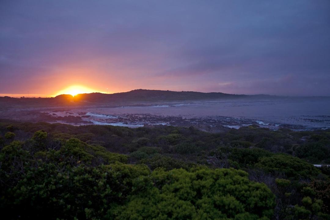 Photo of Others in Sandbaai