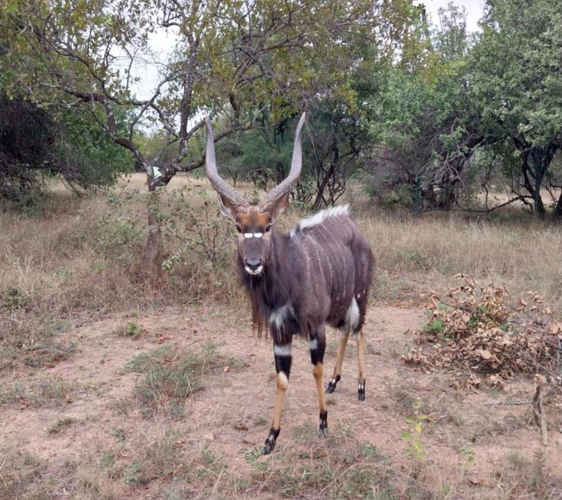 Photo of Others in Madibeng