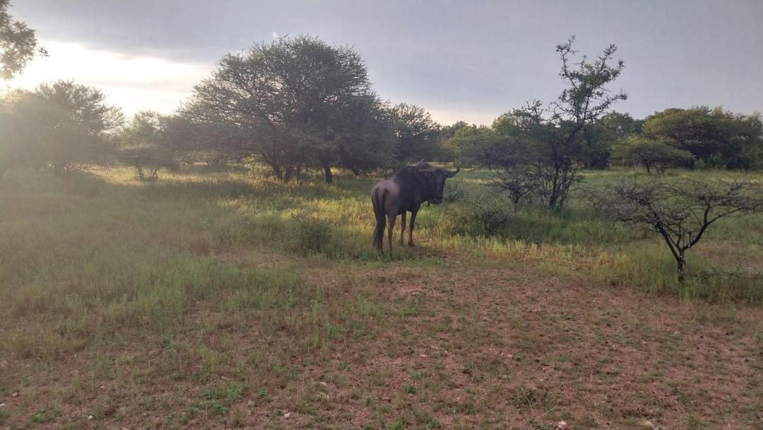 Photo of Others in Madibeng