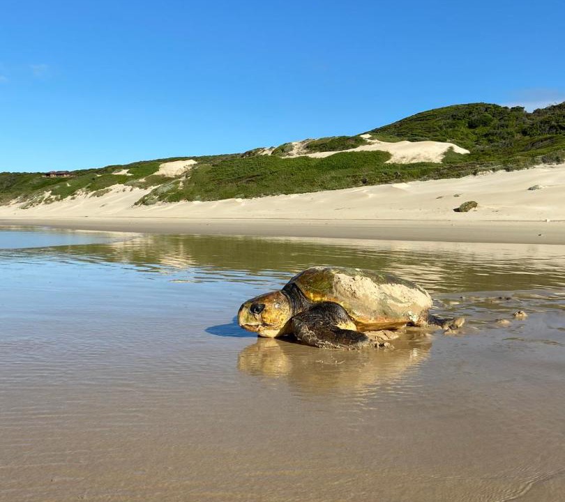 Photo of Others in Port Elizabeth