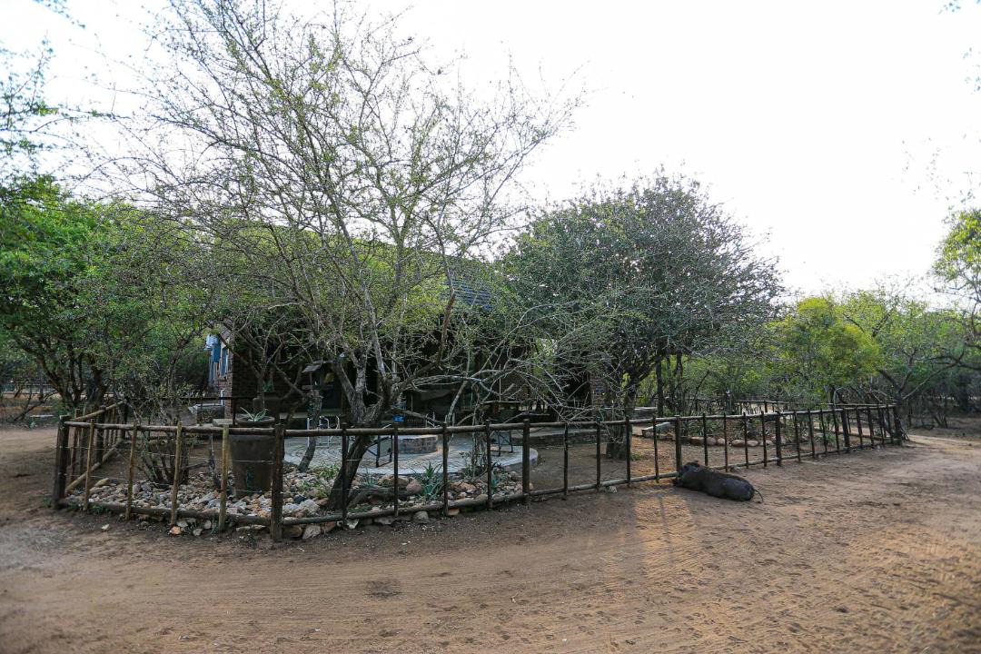 Photo of Others in Marloth Park