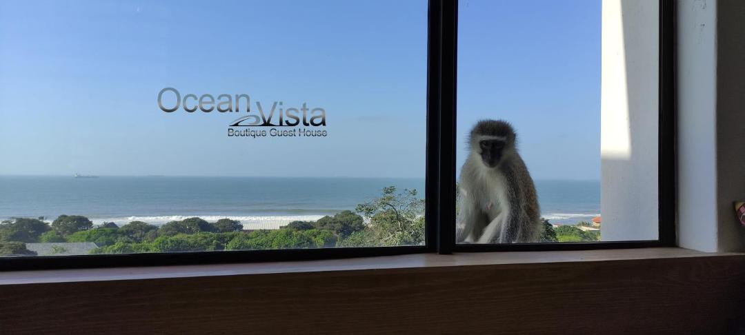 Photo of Others in Umhlanga