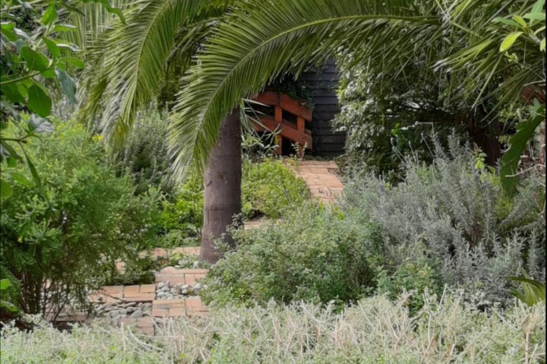 Photo of Others in Bellville