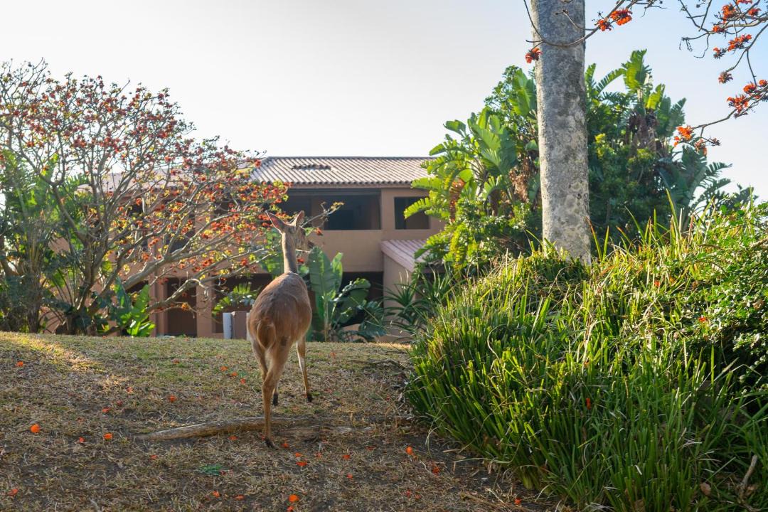 Photo of Others in San Lameer