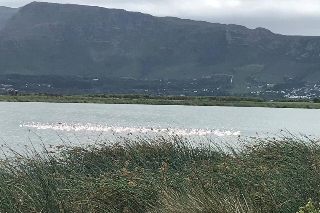 Photo of Others in Kommetjie