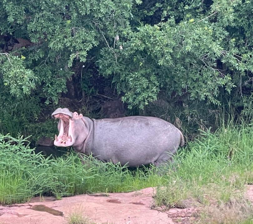 Photo of Others in Hammanskraal