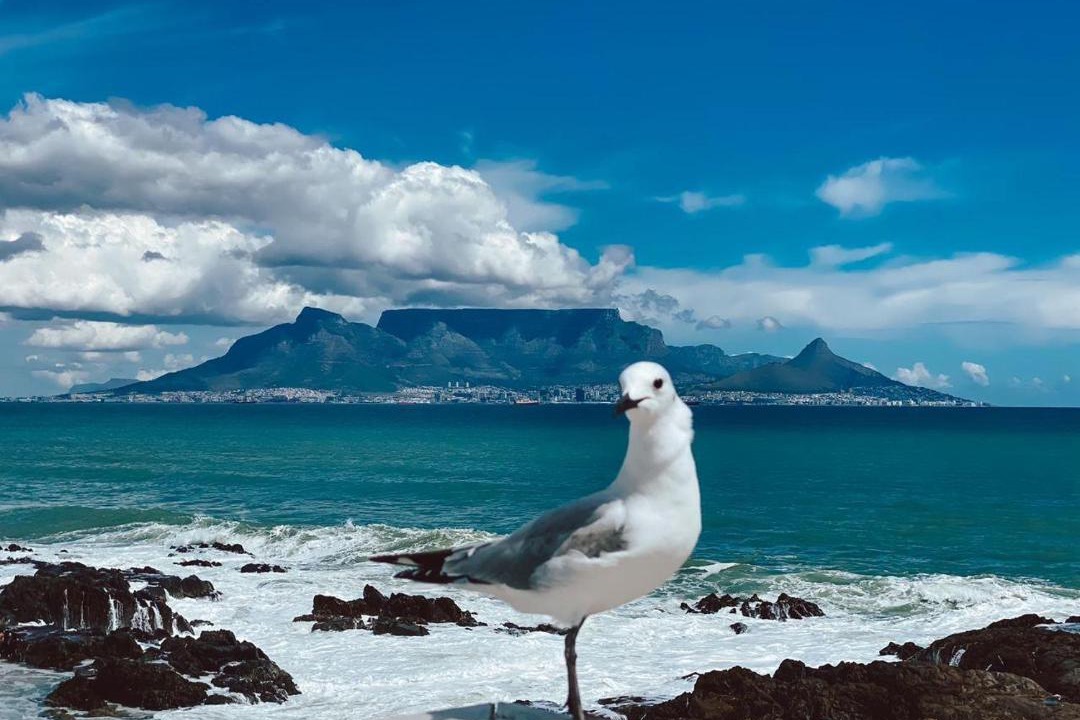 Photo of Others in Bloubergstrand
