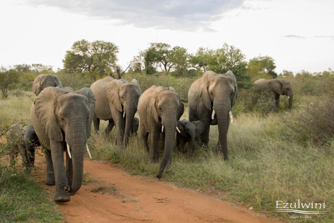 Photo of Others in Hoedspruit
