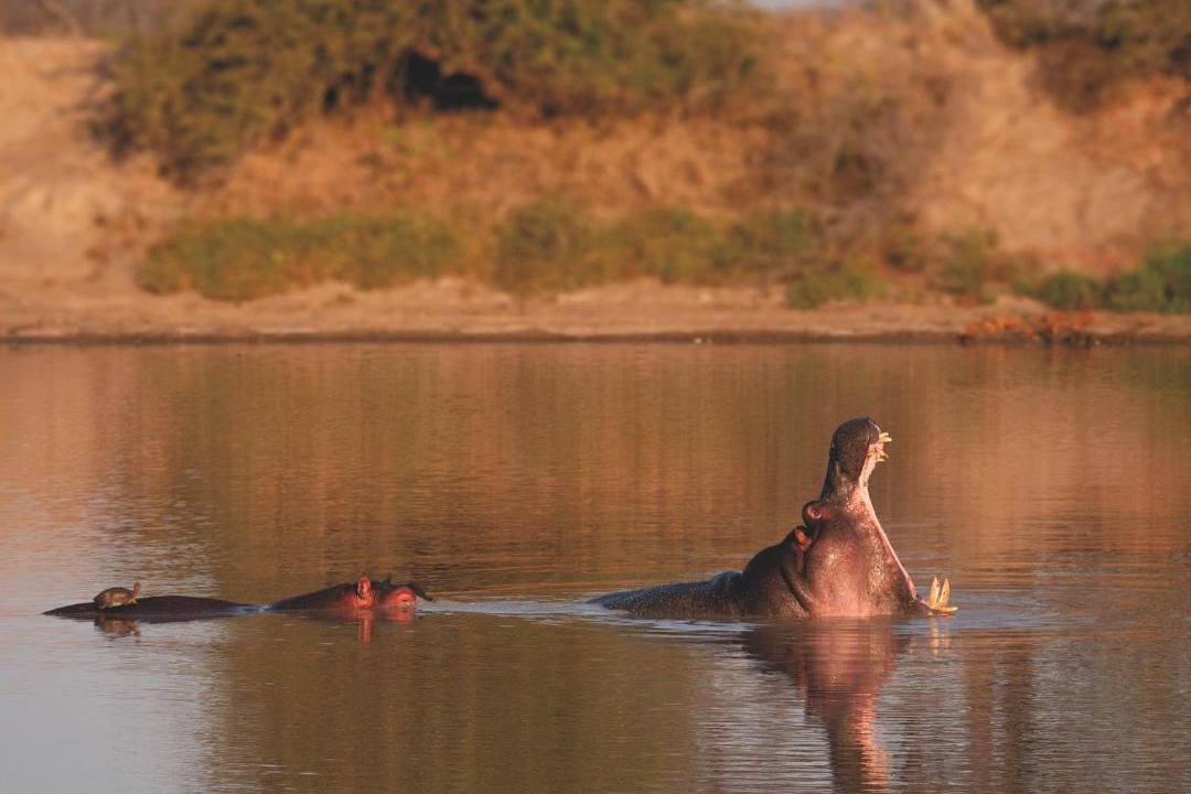 Photo of Others in Buffelspruit