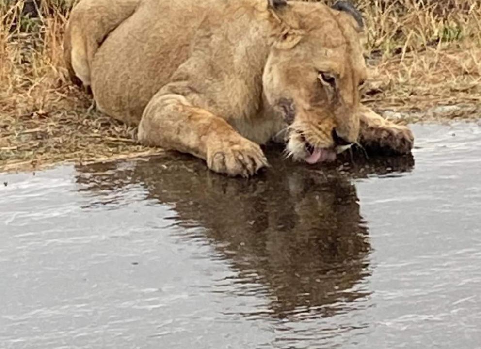 Photo of Others in Phalaborwa