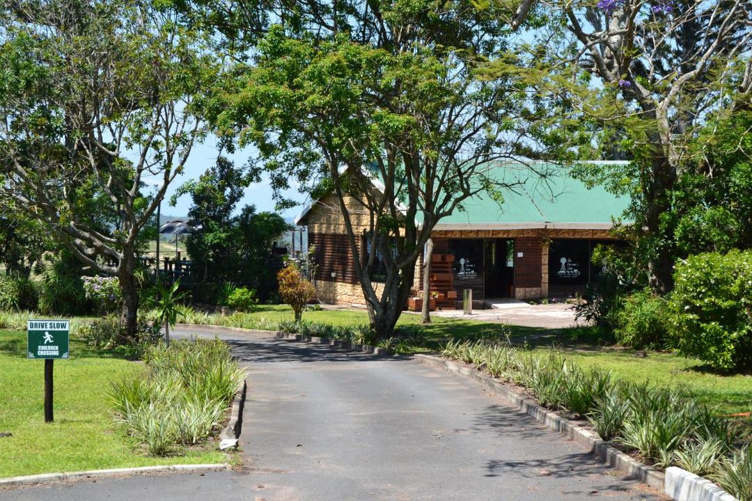Photo of Others in Paddock