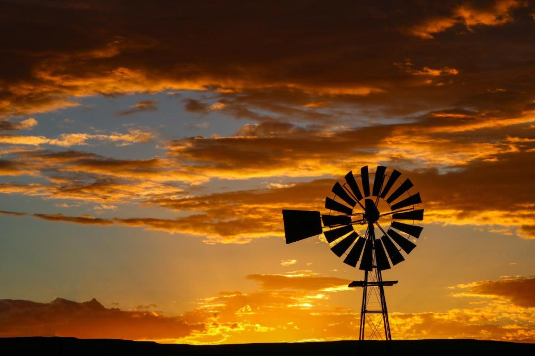 Photo of Others in Tankwa Karoo