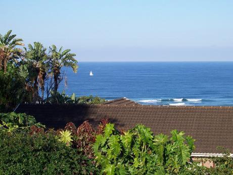 Photo of Others in Illovo Beach