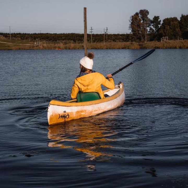 Photo of Others in Wilderness