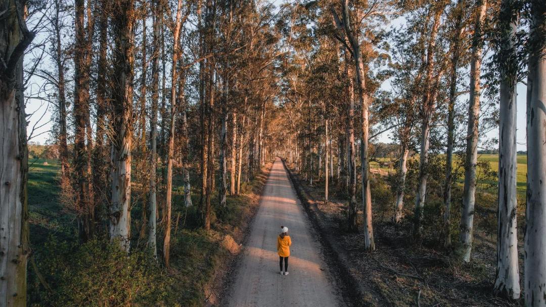 Photo of Others in Wilderness