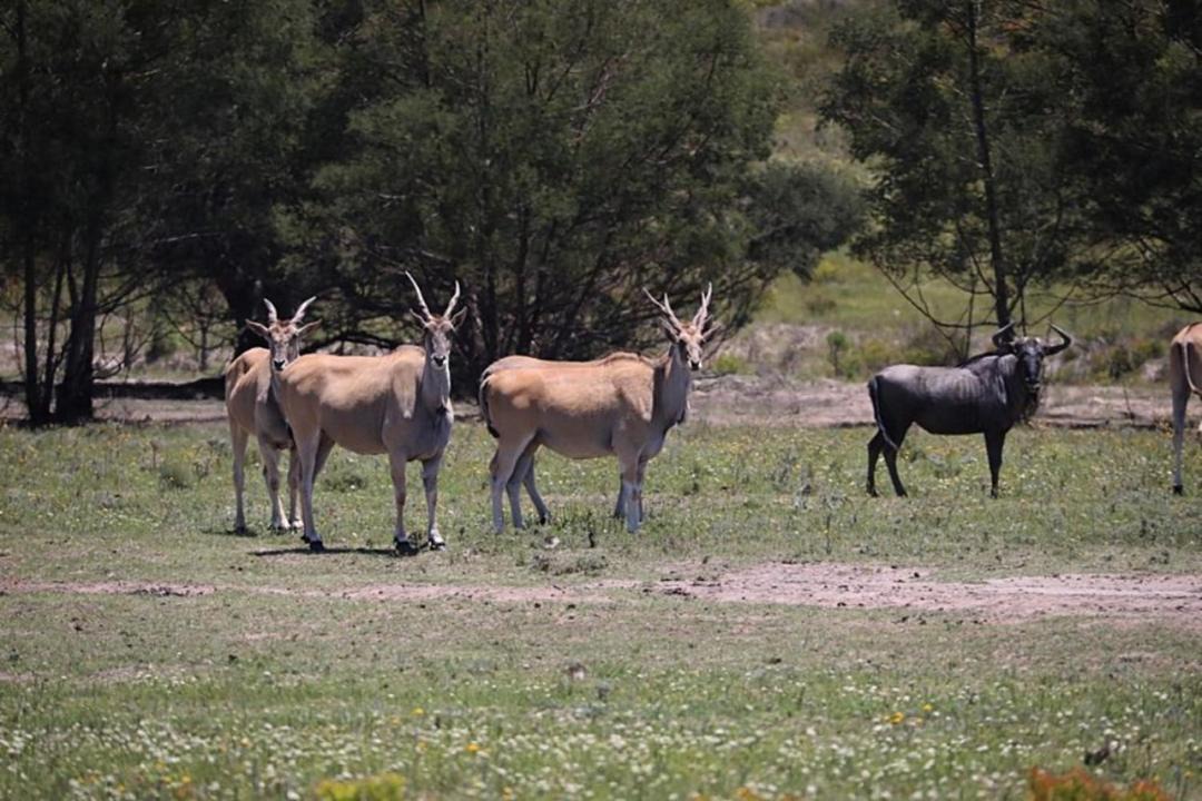 Photo of Others in Kareedouw