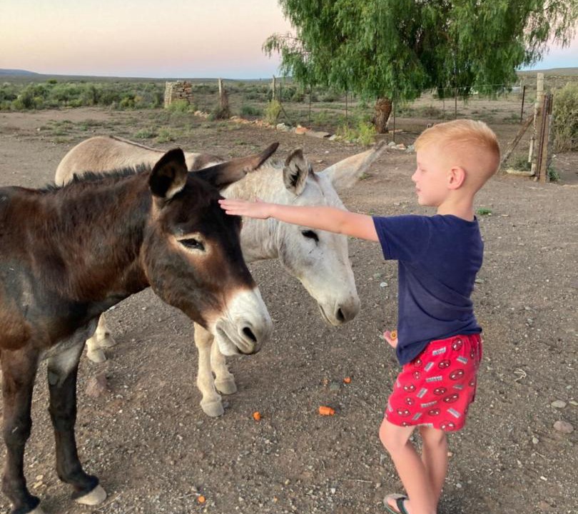 Photo of Others in Tankwa Karoo