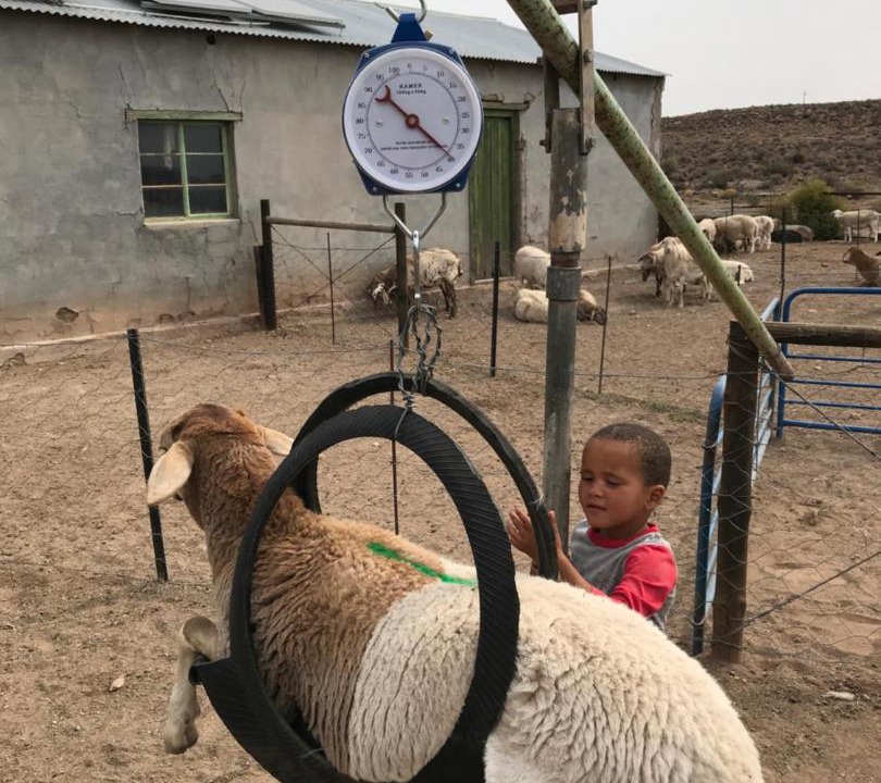 Photo of Others in Tankwa Karoo