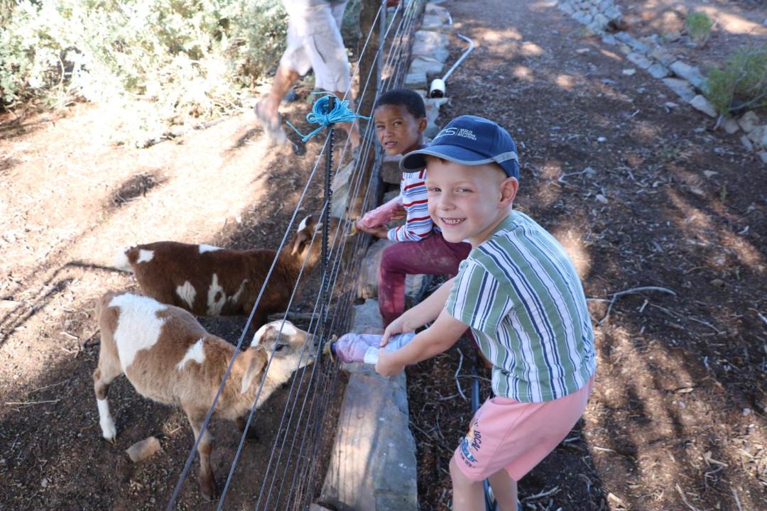 Photo of Others in Tankwa Karoo