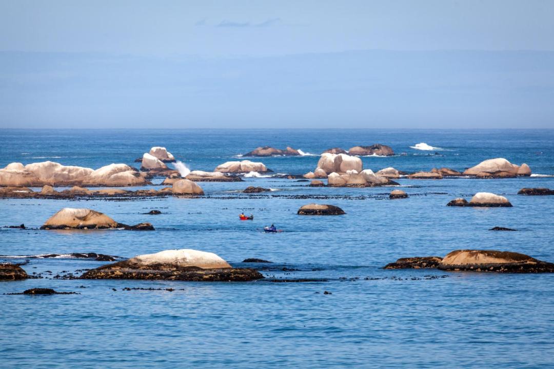 Photo of Others in Paternoster