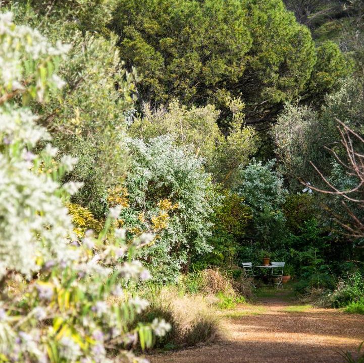 Photo of Others in Schotsche Kloof