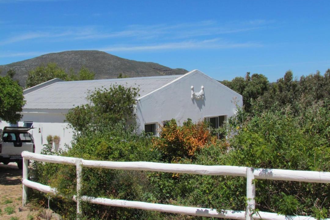 Photo of Others in Noordhoek