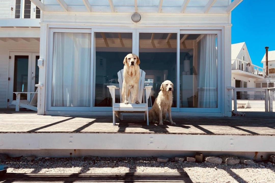 Photo of Others in Yzerfontein