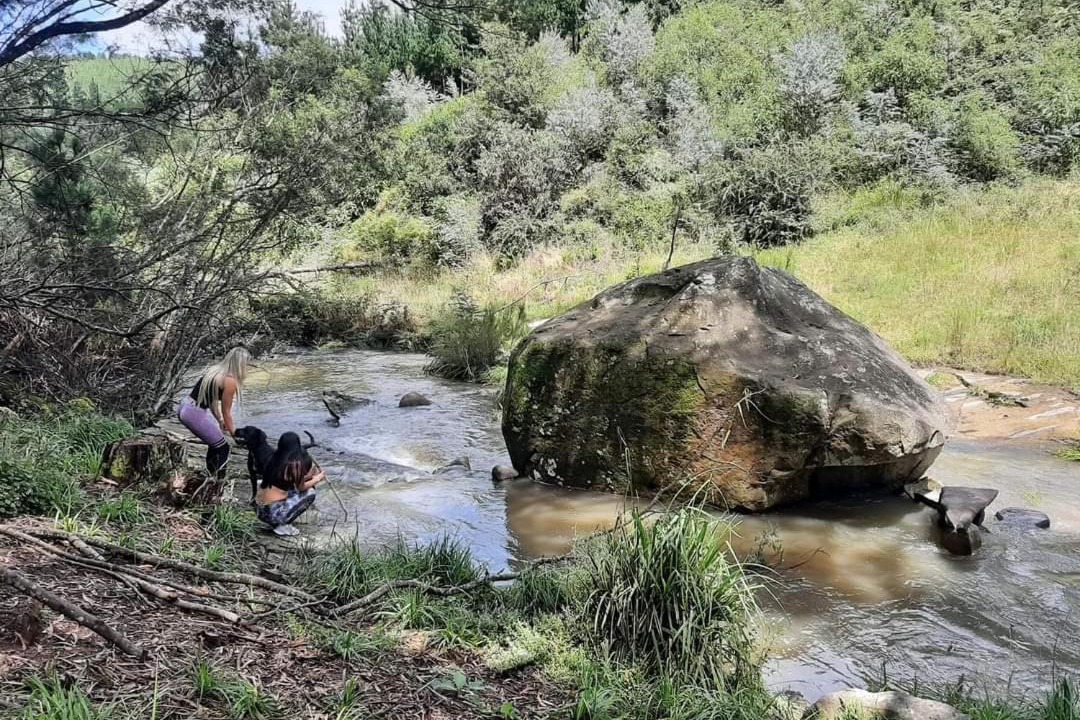 Photo of Others in Hogsback