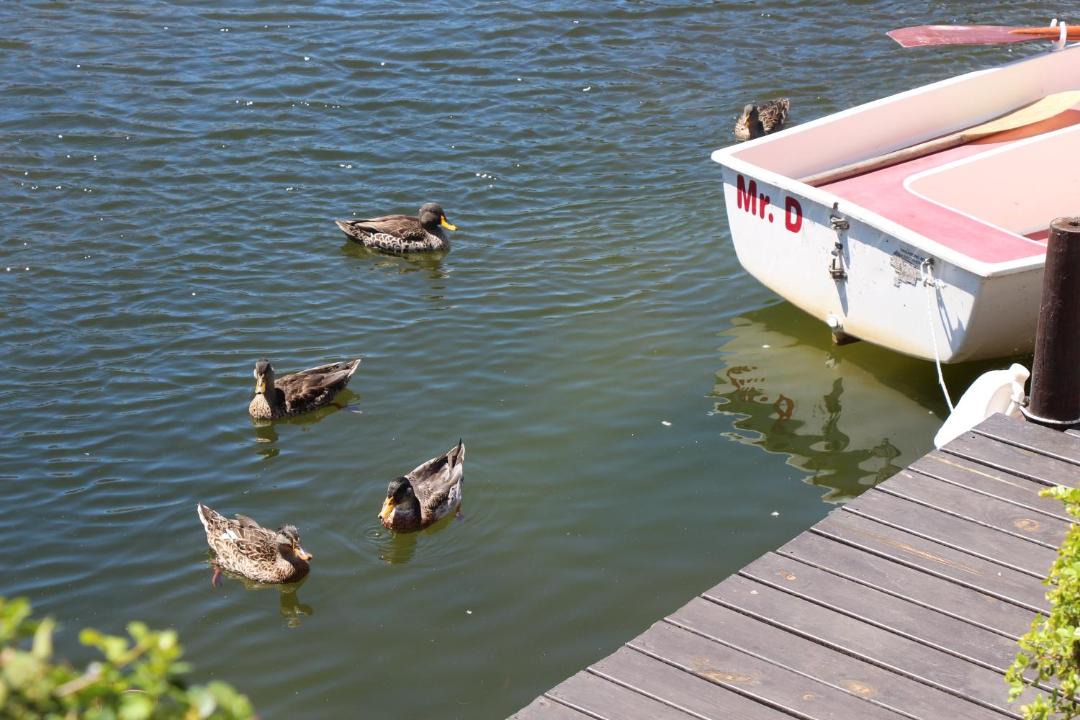 Photo of Others in Marina da Gama