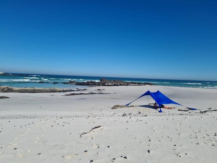 Photo of Others in Grotto Bay