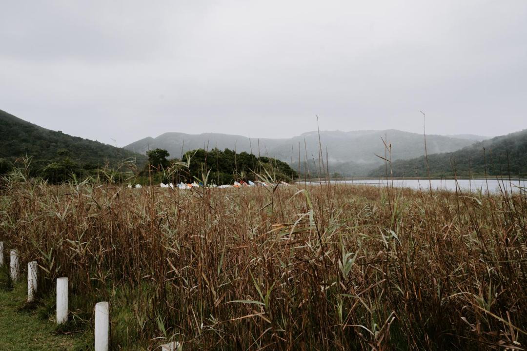Photo of Others in Nature's Valley