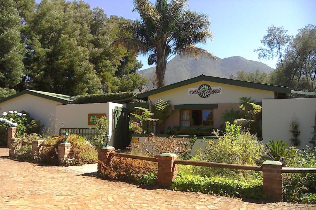 Photo of Others in Storms River