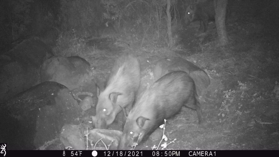 Photo of Others in Elandskraal