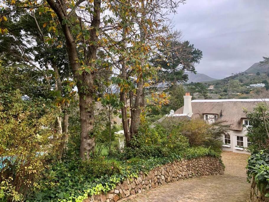 Photo of Others in Constantia