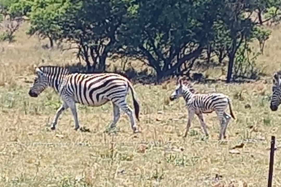 Photo of Others in Elandskraal