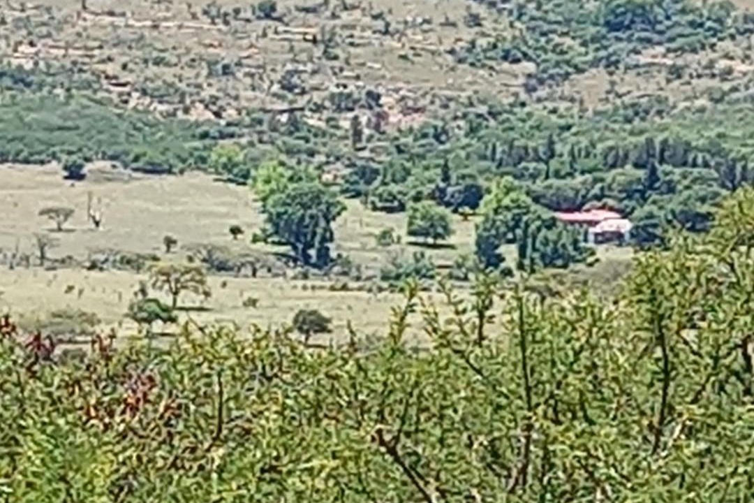 Photo of Others in Elandskraal