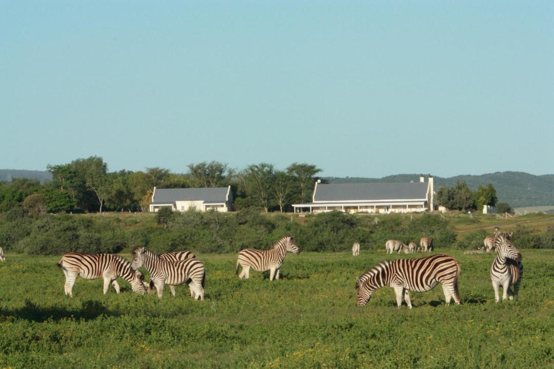 Photo of Others in Addo