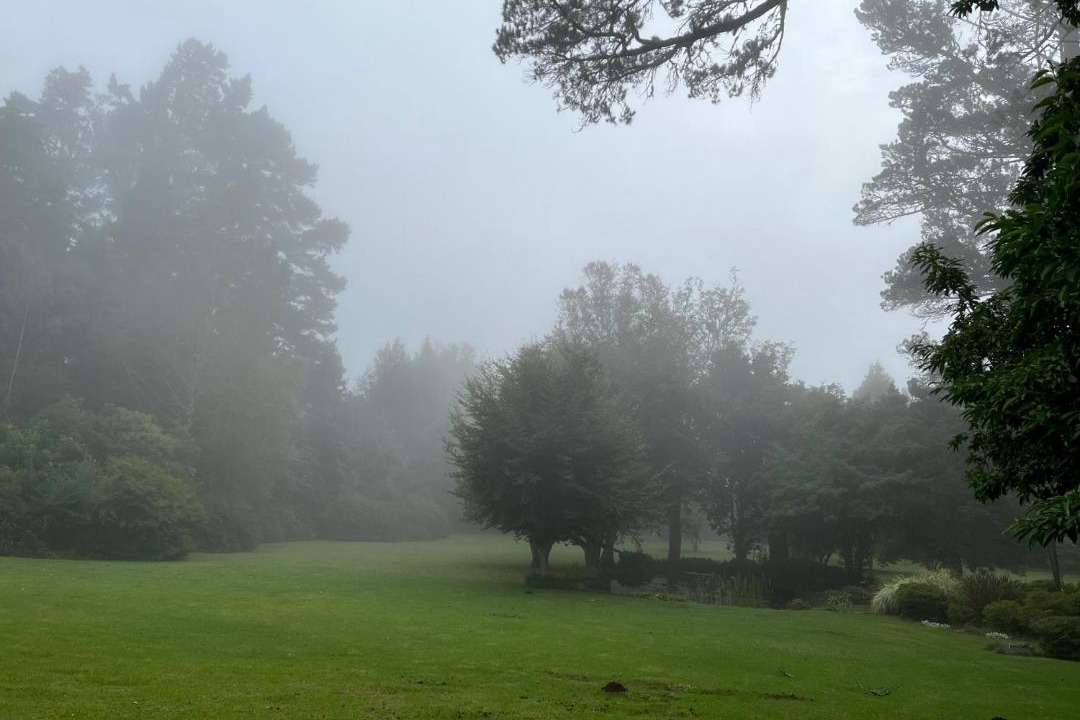 Photo of Others in Hogsback